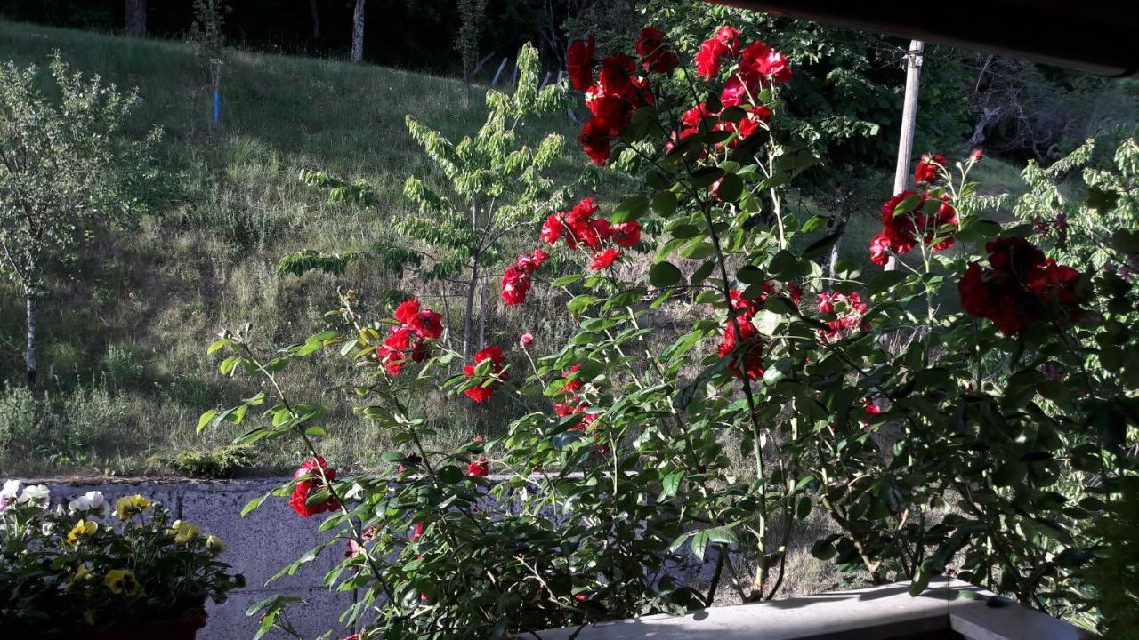 Holiday Home Ivana Pasjak Zewnętrze zdjęcie